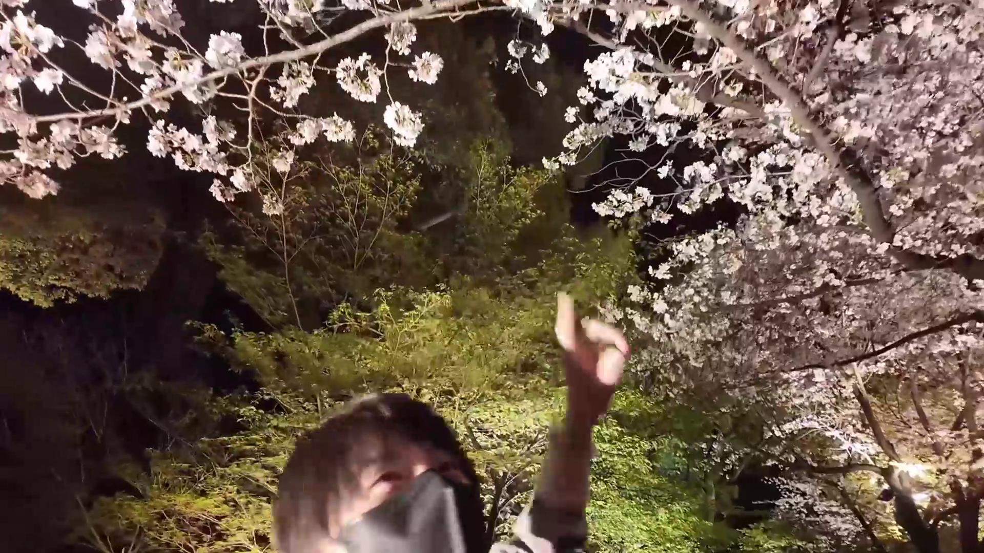 花臂老师/花臂夫夫 樱花约会后的浪漫夜晚(共2段)